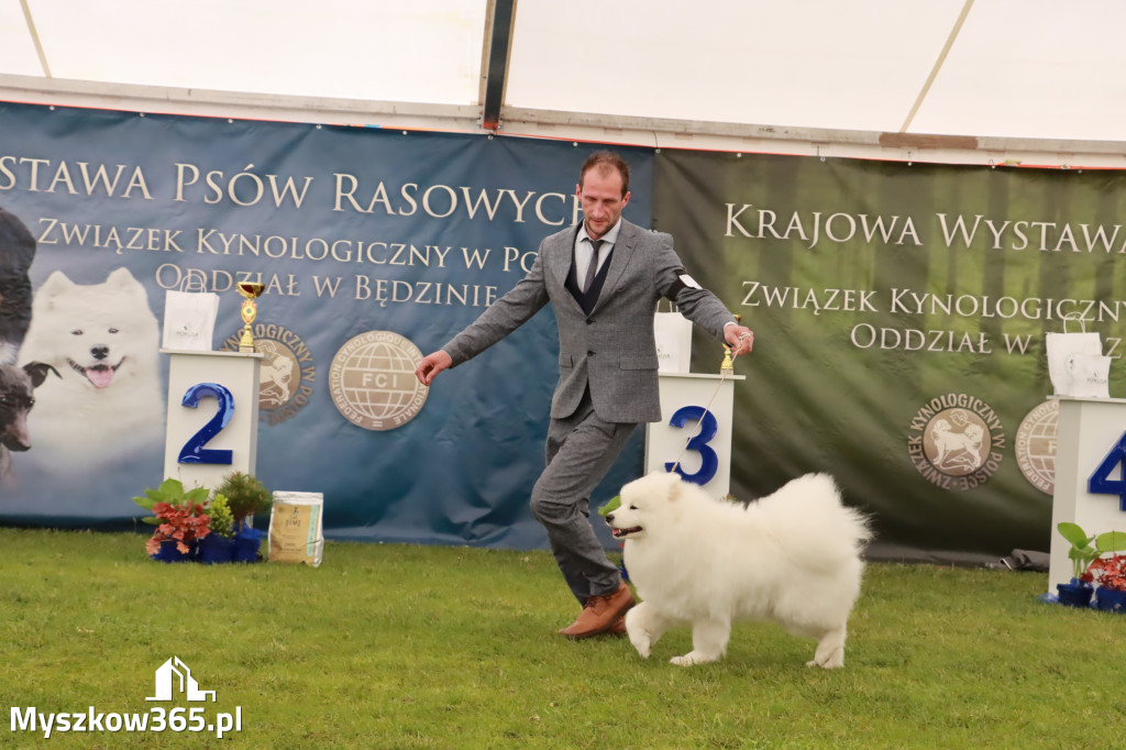 Wystawa Psów Rasowych w GNIAZDOWIE Konkurencje Finałowe