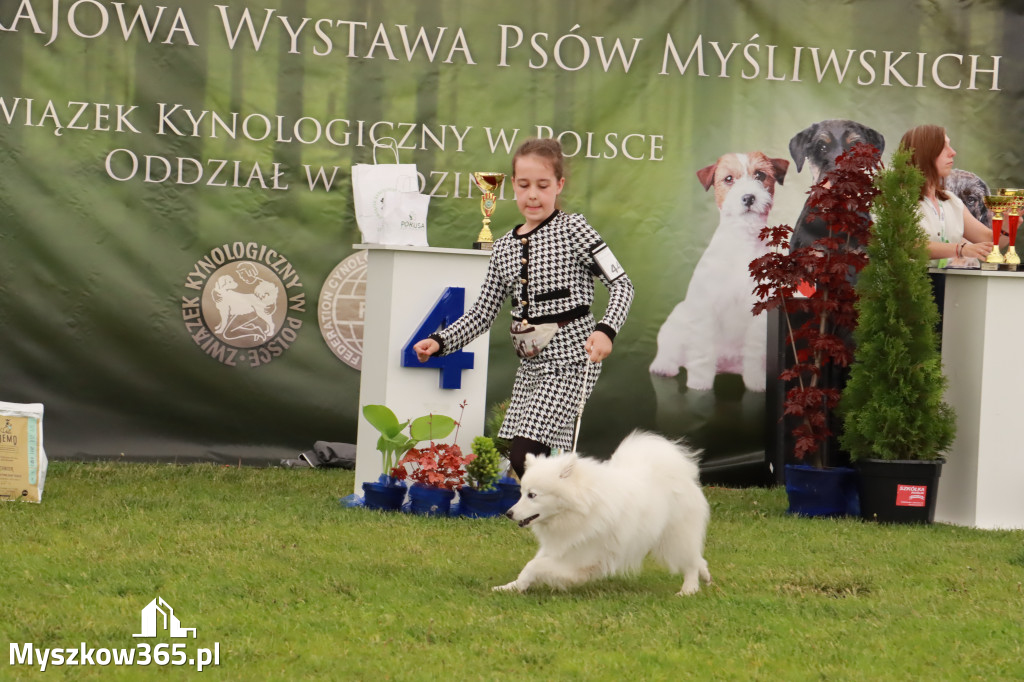 Wystawa Psów Rasowych w GNIAZDOWIE Konkurencje Finałowe