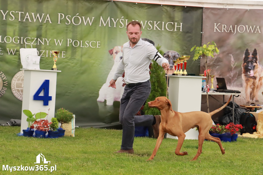 Wystawa Psów Rasowych w GNIAZDOWIE Konkurencje Finałowe