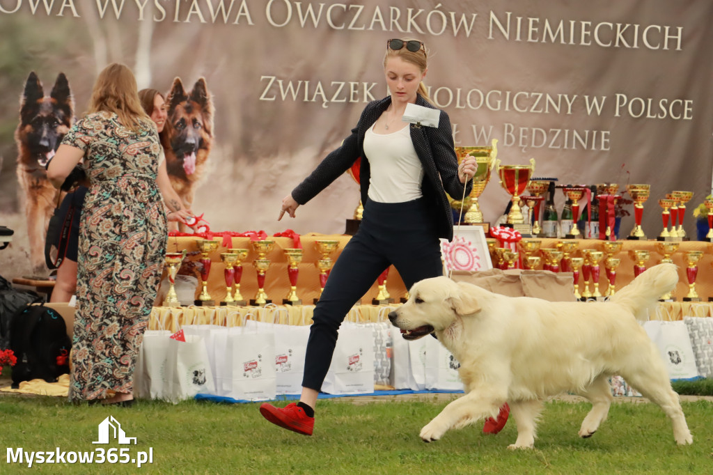 Wystawa Psów Rasowych w GNIAZDOWIE Konkurencje Finałowe