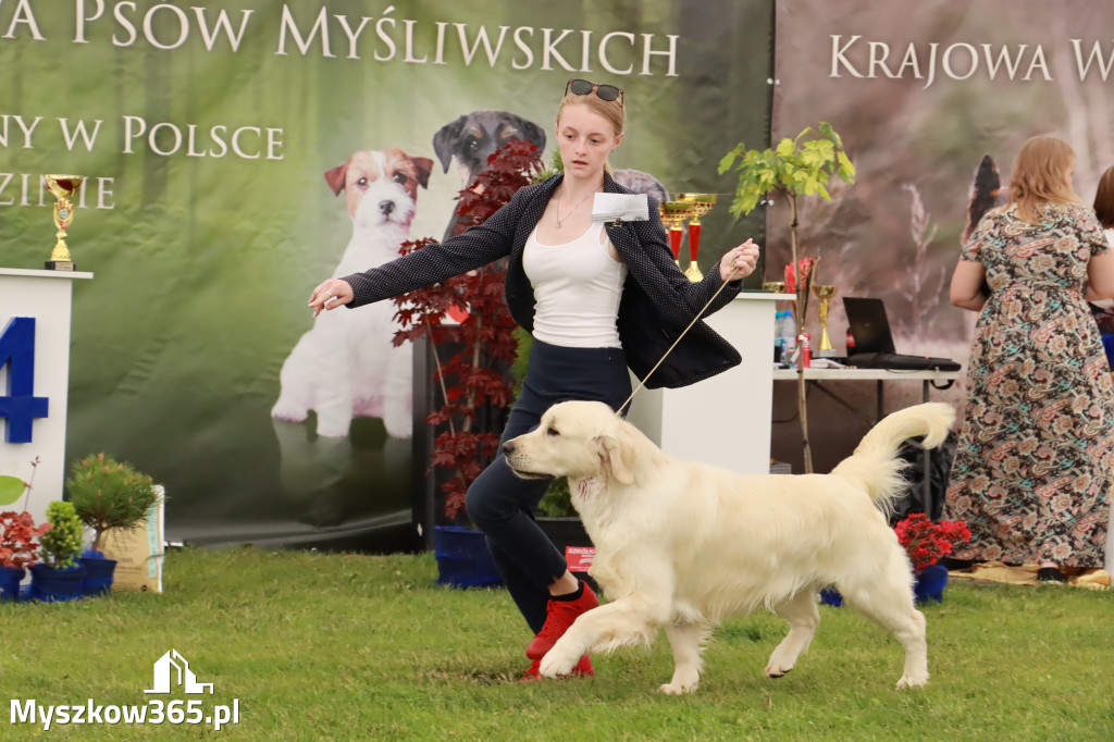 Wystawa Psów Rasowych w GNIAZDOWIE Konkurencje Finałowe