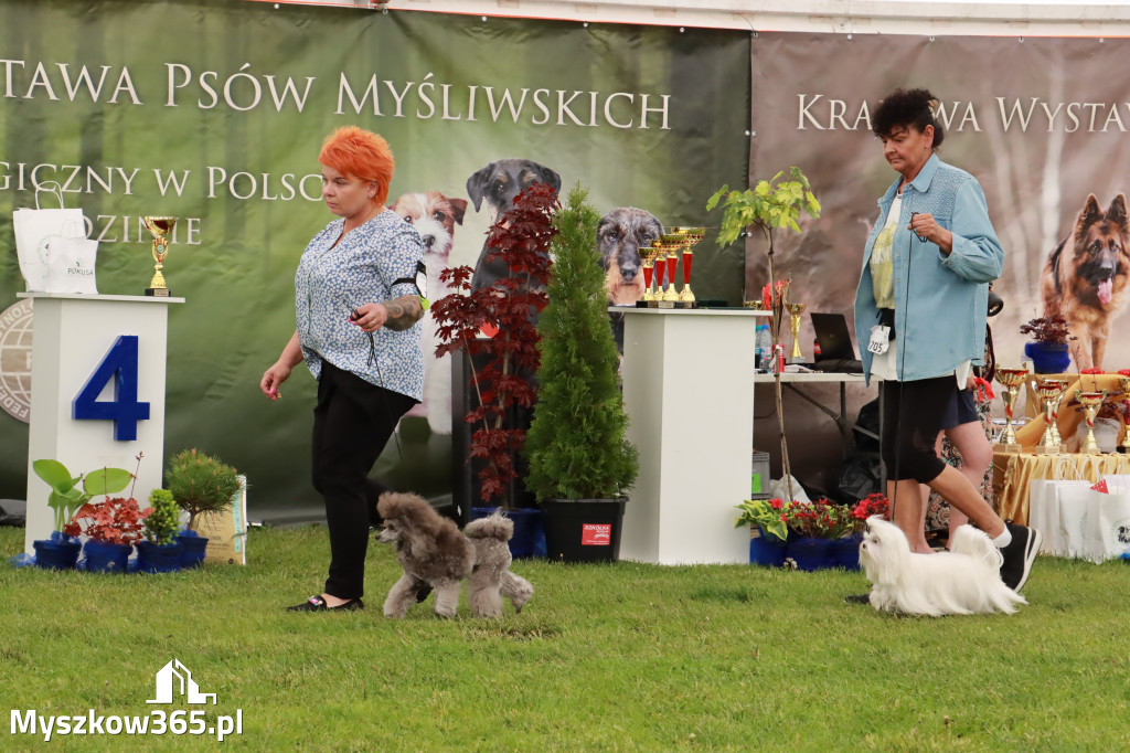 Wystawa Psów Rasowych w GNIAZDOWIE Konkurencje Finałowe