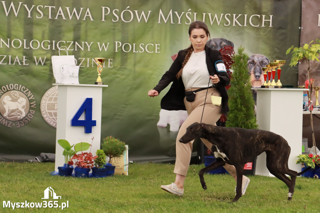 Wystawa Psów Rasowych w GNIAZDOWIE Konkurencje Finałowe