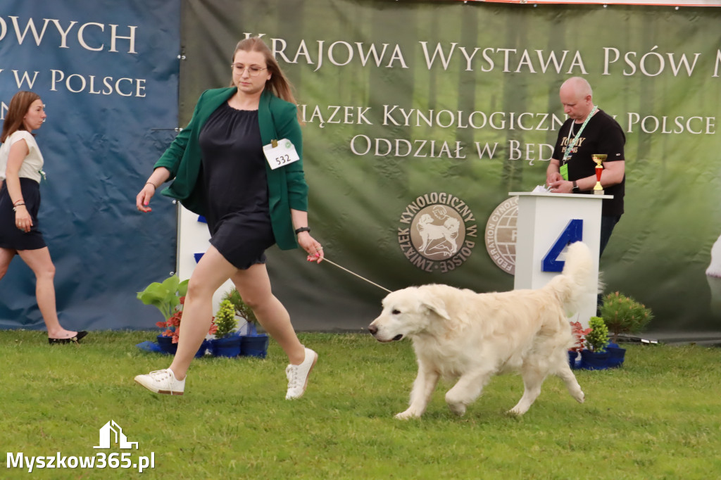 Wystawa Psów Rasowych w GNIAZDOWIE Konkurencje Finałowe