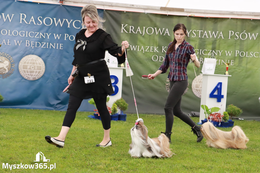 Wystawa Psów Rasowych w GNIAZDOWIE Konkurencje Finałowe