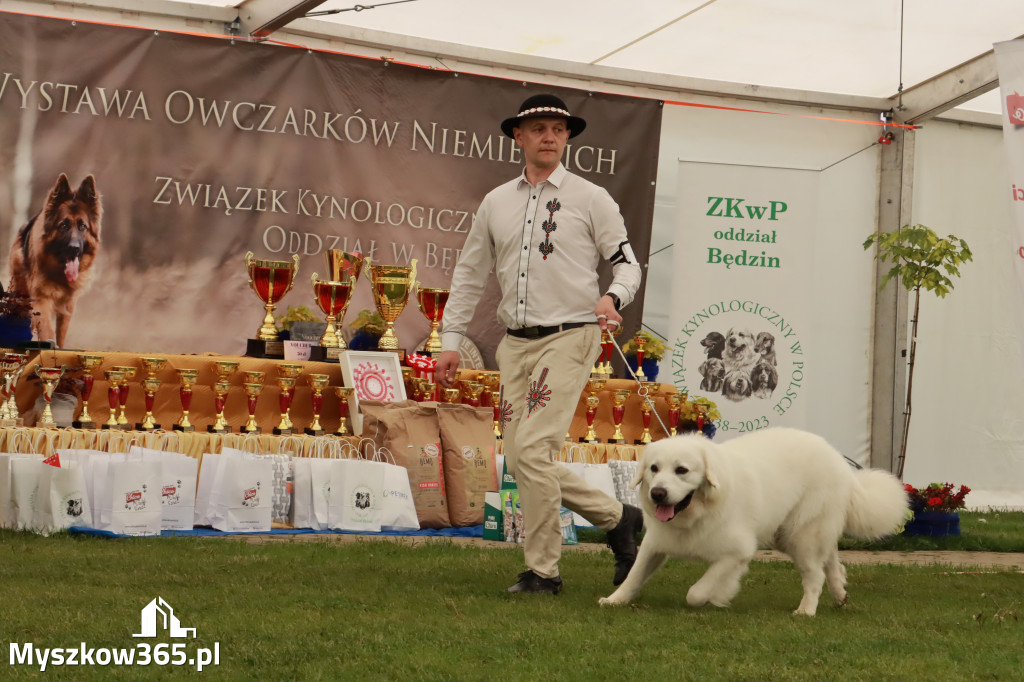 Wystawa Psów Rasowych w GNIAZDOWIE Konkurencje Finałowe