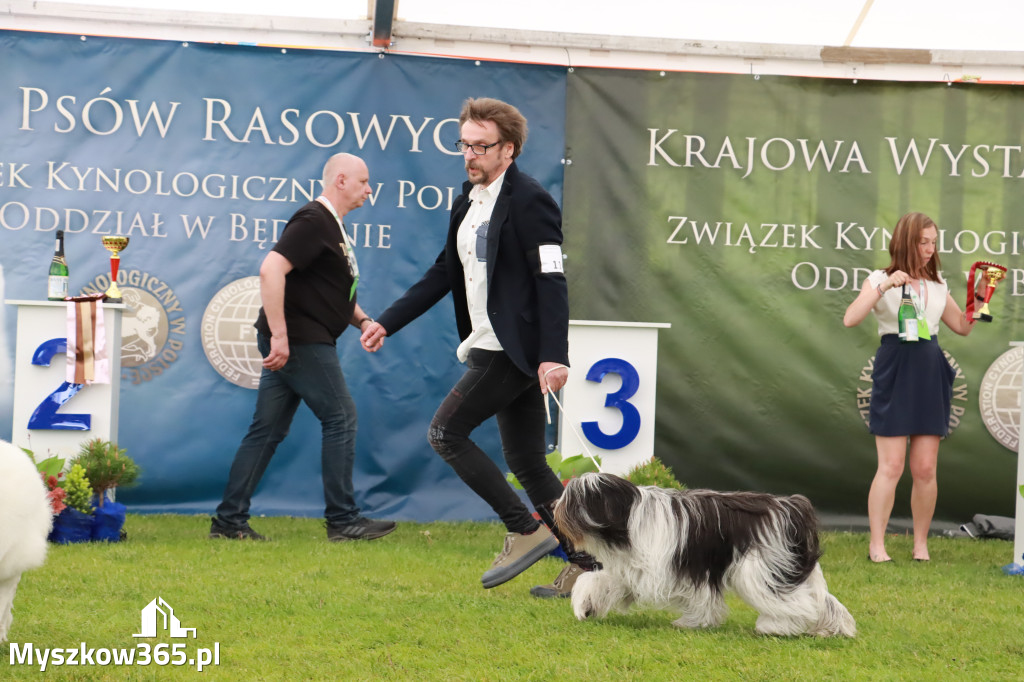 Wystawa Psów Rasowych w GNIAZDOWIE Konkurencje Finałowe