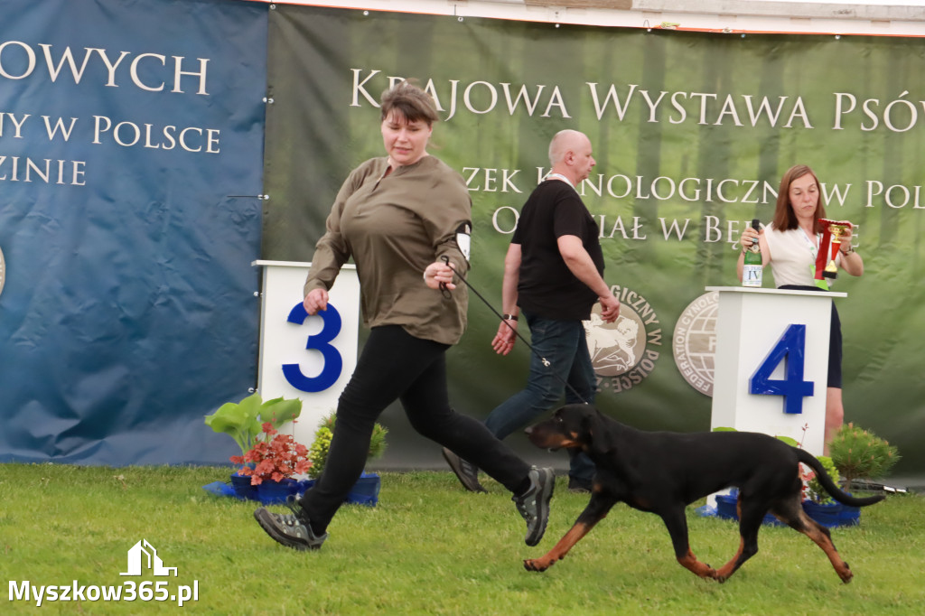 Wystawa Psów Rasowych w GNIAZDOWIE Konkurencje Finałowe