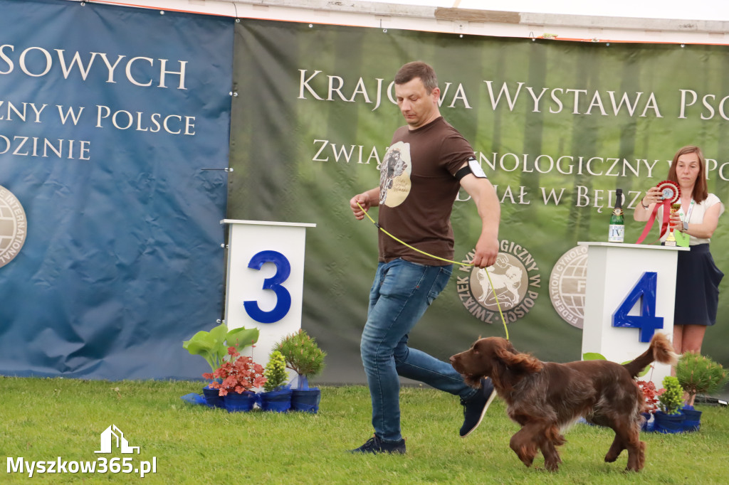 Wystawa Psów Rasowych w GNIAZDOWIE Konkurencje Finałowe