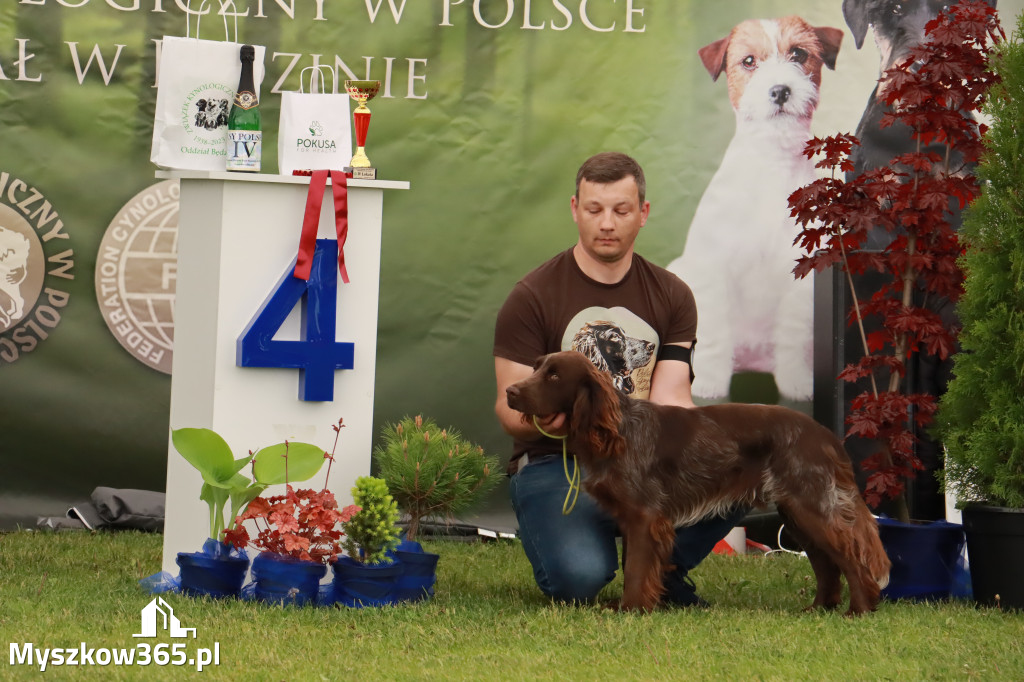 Wystawa Psów Rasowych w GNIAZDOWIE Konkurencje Finałowe