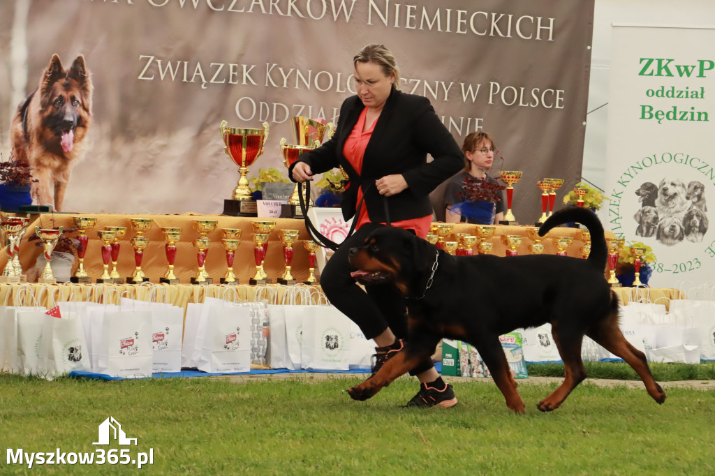 Wystawa Psów Rasowych w GNIAZDOWIE Konkurencje Finałowe