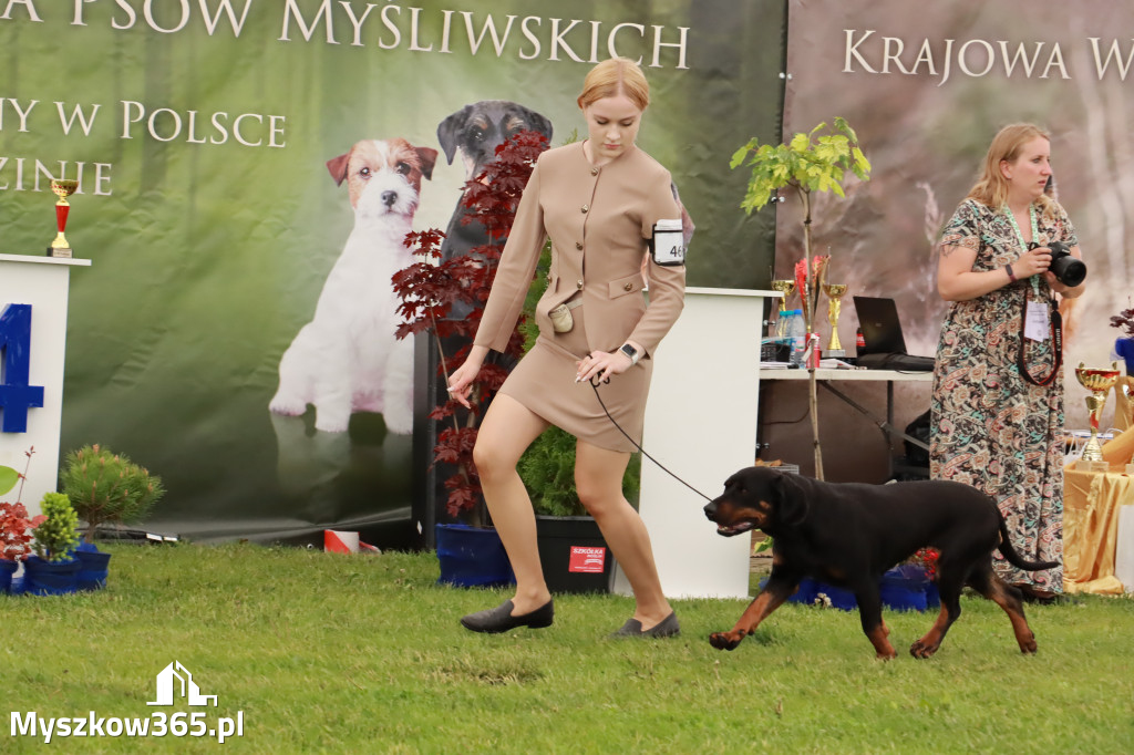 Wystawa Psów Rasowych w GNIAZDOWIE Konkurencje Finałowe