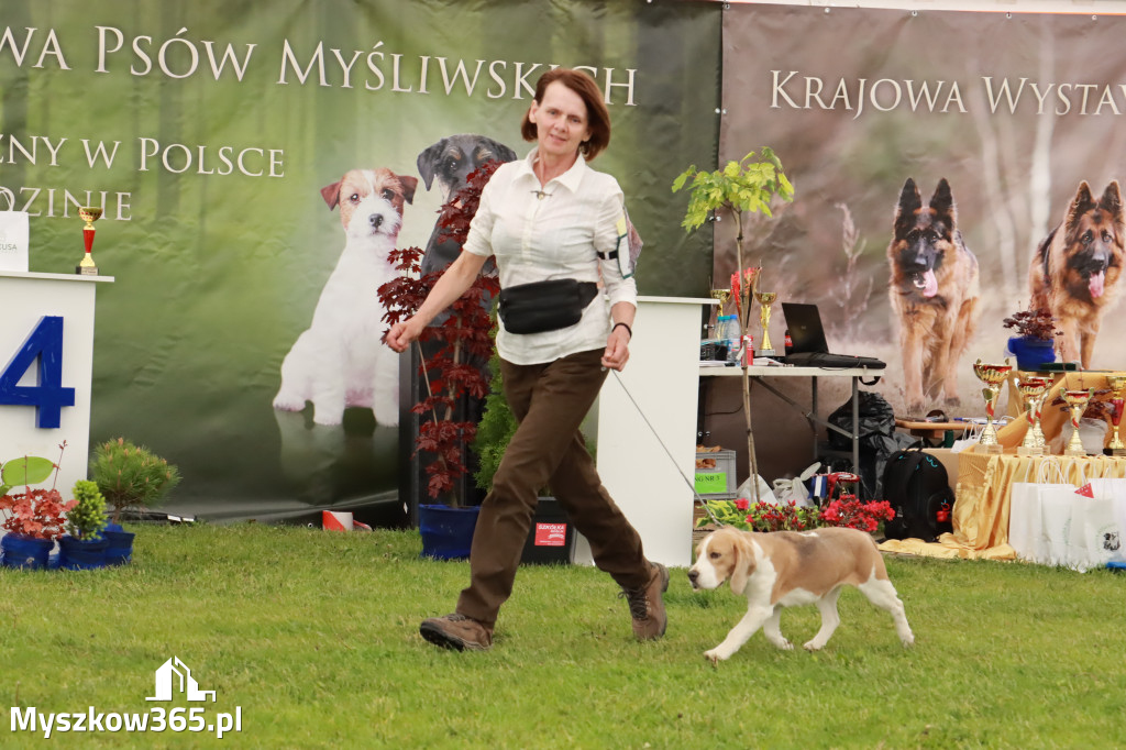 Wystawa Psów Rasowych w GNIAZDOWIE Konkurencje Finałowe