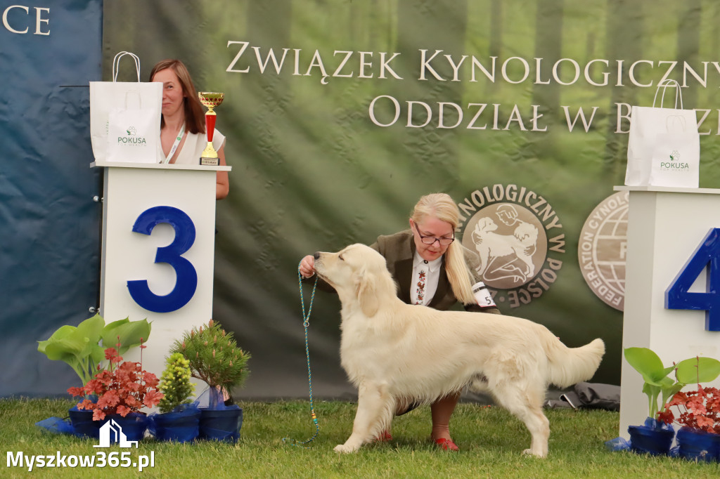 Wystawa Psów Rasowych w GNIAZDOWIE Konkurencje Finałowe