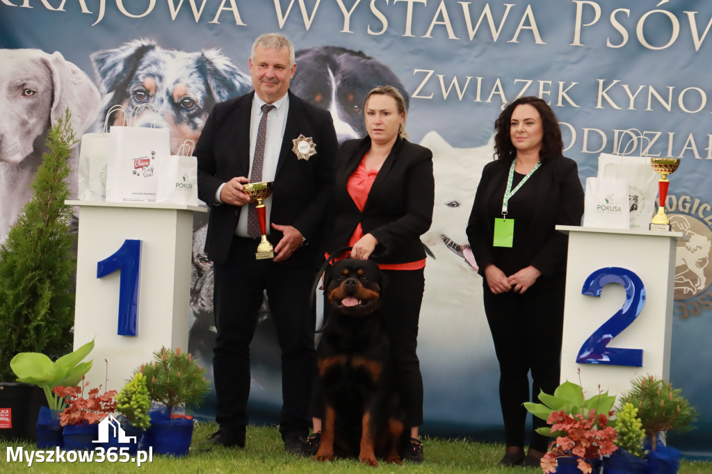 Wystawa Psów Rasowych w GNIAZDOWIE Konkurencje Finałowe