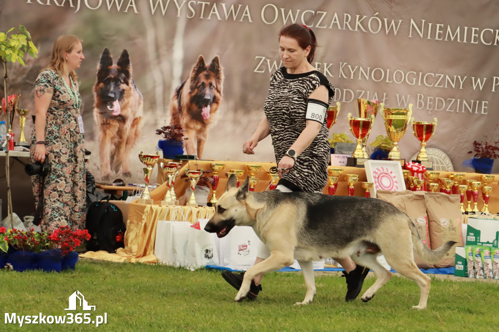 Wystawa Psów Rasowych w GNIAZDOWIE Konkurencje Finałowe