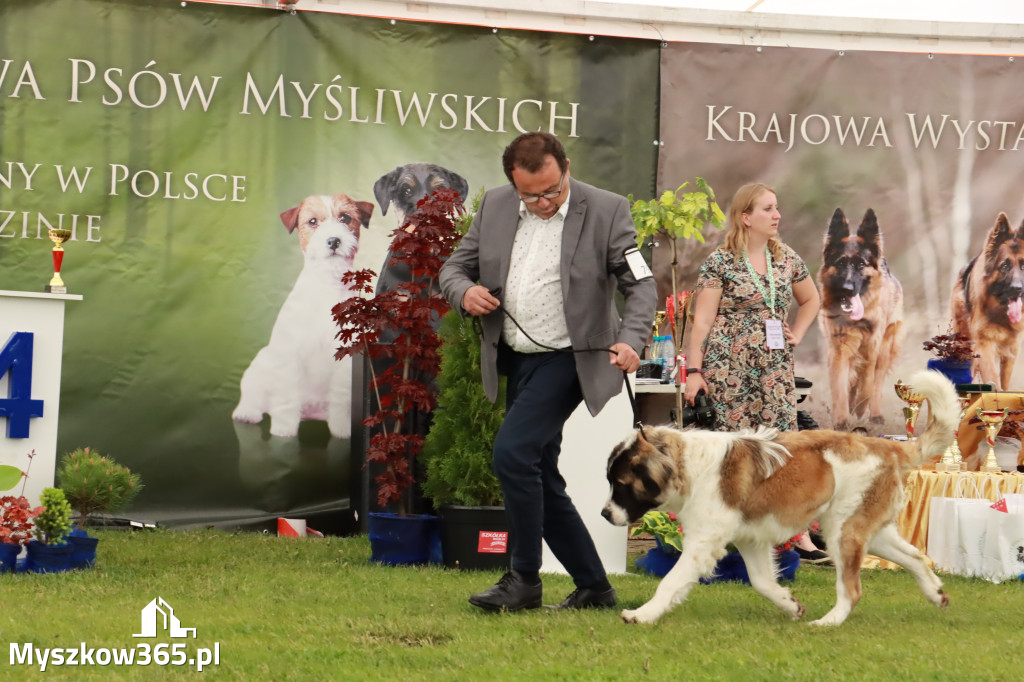 Wystawa Psów Rasowych w GNIAZDOWIE Konkurencje Finałowe