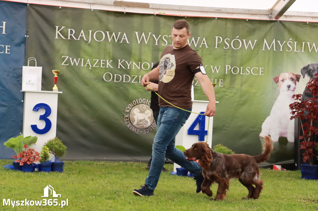 Wystawa Psów Rasowych w GNIAZDOWIE Konkurencje Finałowe