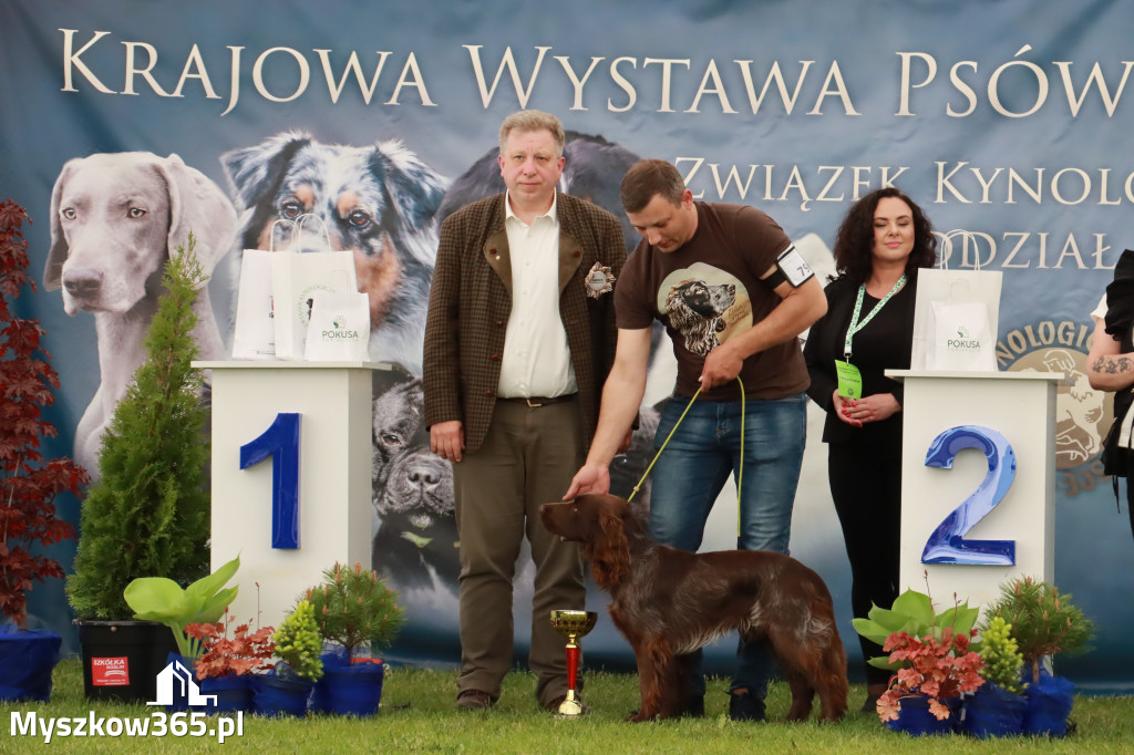 Wystawa Psów Rasowych w GNIAZDOWIE Konkurencje Finałowe