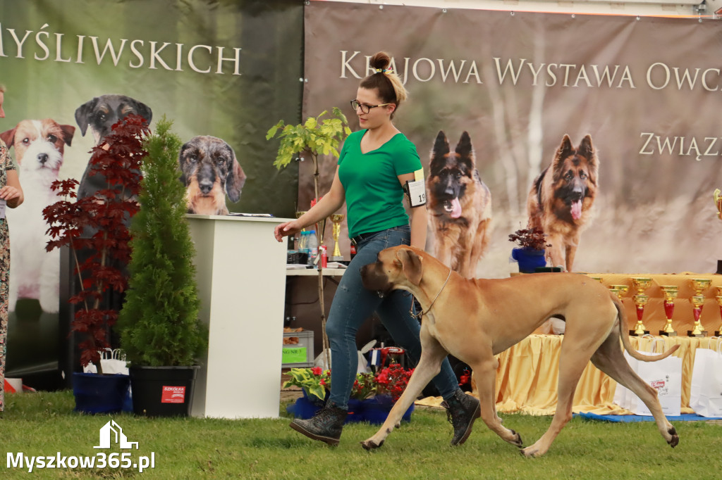 Wystawa Psów Rasowych w GNIAZDOWIE Konkurencje Finałowe