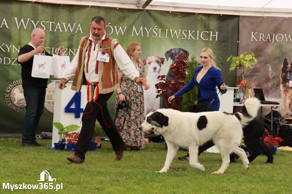 Wystawa Psów Rasowych w GNIAZDOWIE Konkurencje Finałowe