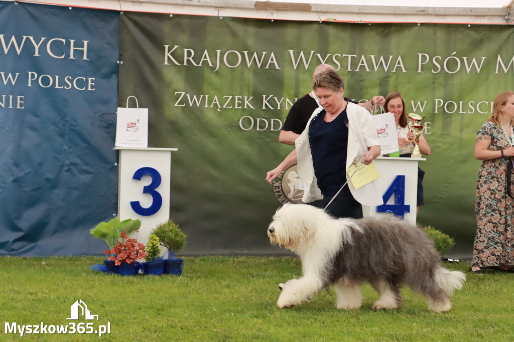 Wystawa Psów Rasowych w GNIAZDOWIE Konkurencje Finałowe