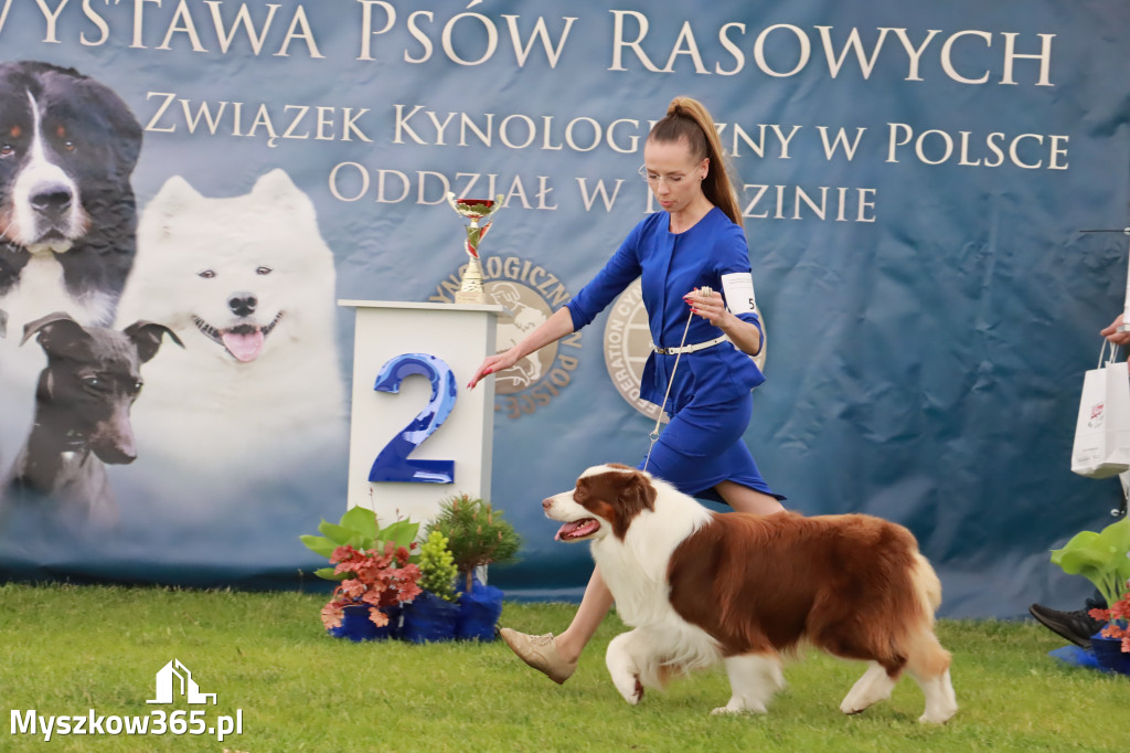 Wystawa Psów Rasowych w GNIAZDOWIE Konkurencje Finałowe