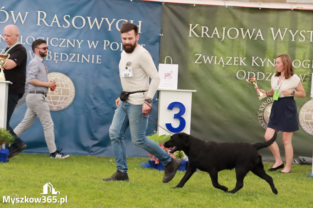 Wystawa Psów Rasowych w GNIAZDOWIE Konkurencje Finałowe