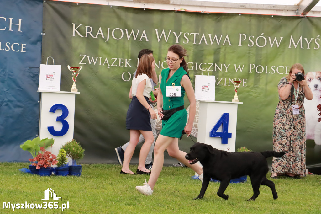 Wystawa Psów Rasowych w GNIAZDOWIE Konkurencje Finałowe