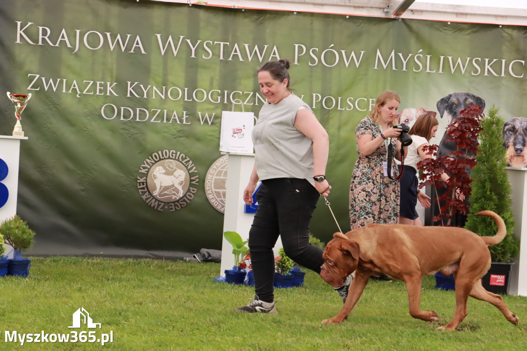 Wystawa Psów Rasowych w GNIAZDOWIE Konkurencje Finałowe