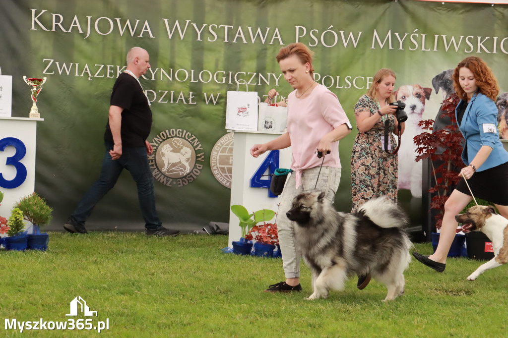 Wystawa Psów Rasowych w GNIAZDOWIE Konkurencje Finałowe