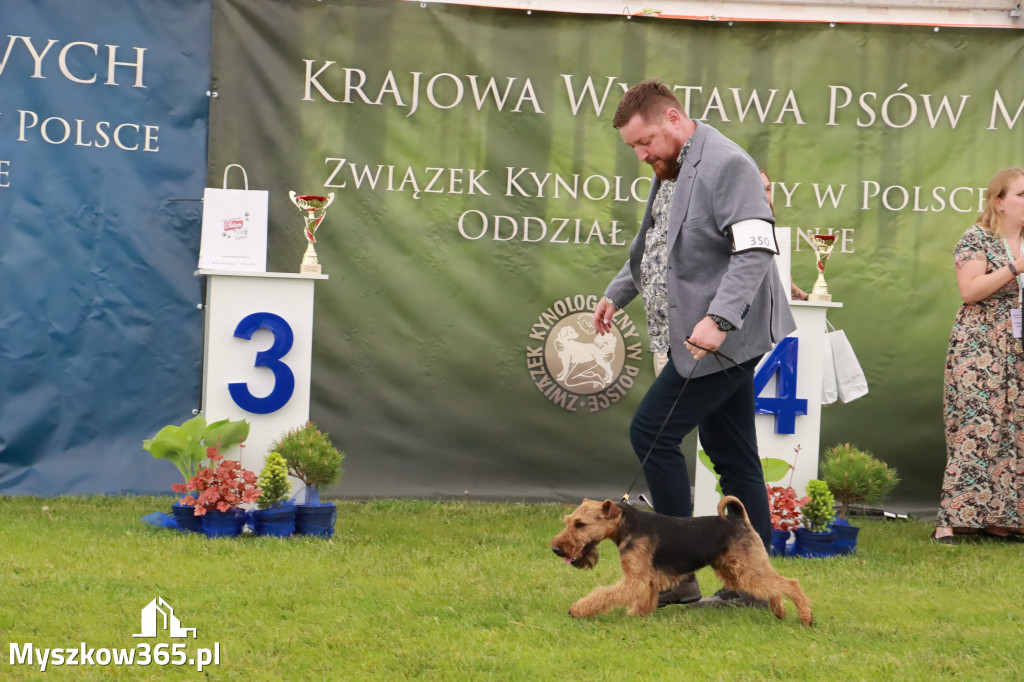 Wystawa Psów Rasowych w GNIAZDOWIE Konkurencje Finałowe