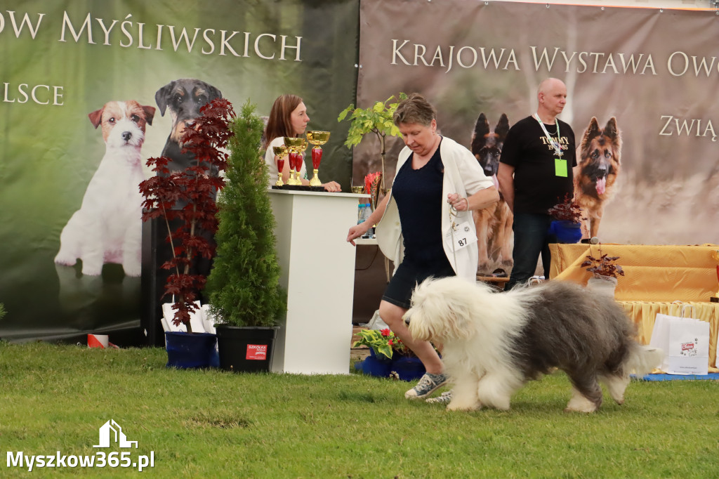 Wystawa Psów Rasowych w GNIAZDOWIE Konkurencje Finałowe