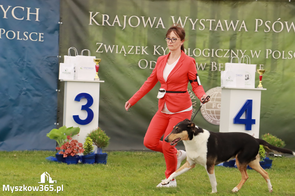 Wystawa Psów Rasowych w GNIAZDOWIE Konkurencje Finałowe