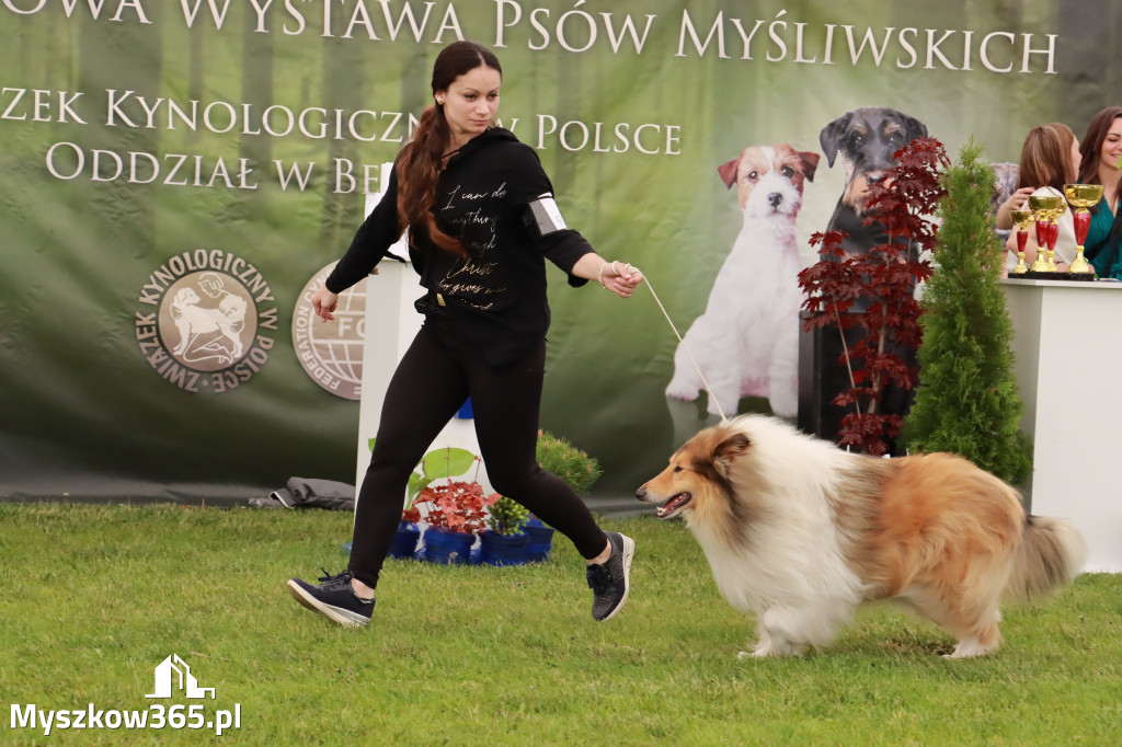 Wystawa Psów Rasowych w GNIAZDOWIE Konkurencje Finałowe