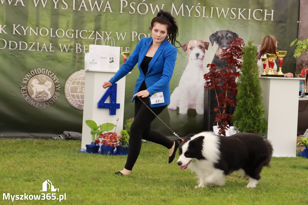 Wystawa Psów Rasowych w GNIAZDOWIE Konkurencje Finałowe