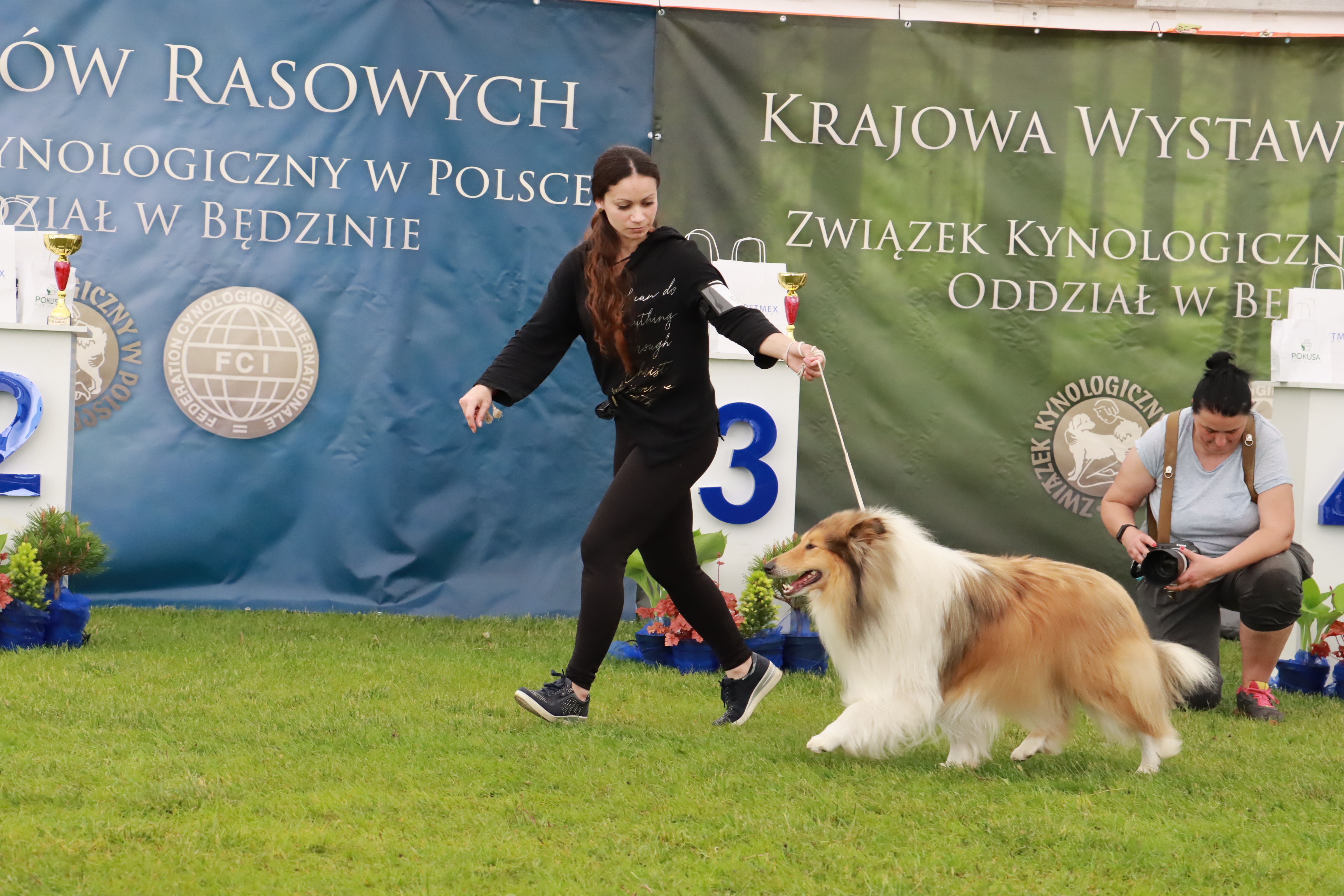 Wystawa Psów Rasowych w GNIAZDOWIE Konkurencje Finałowe