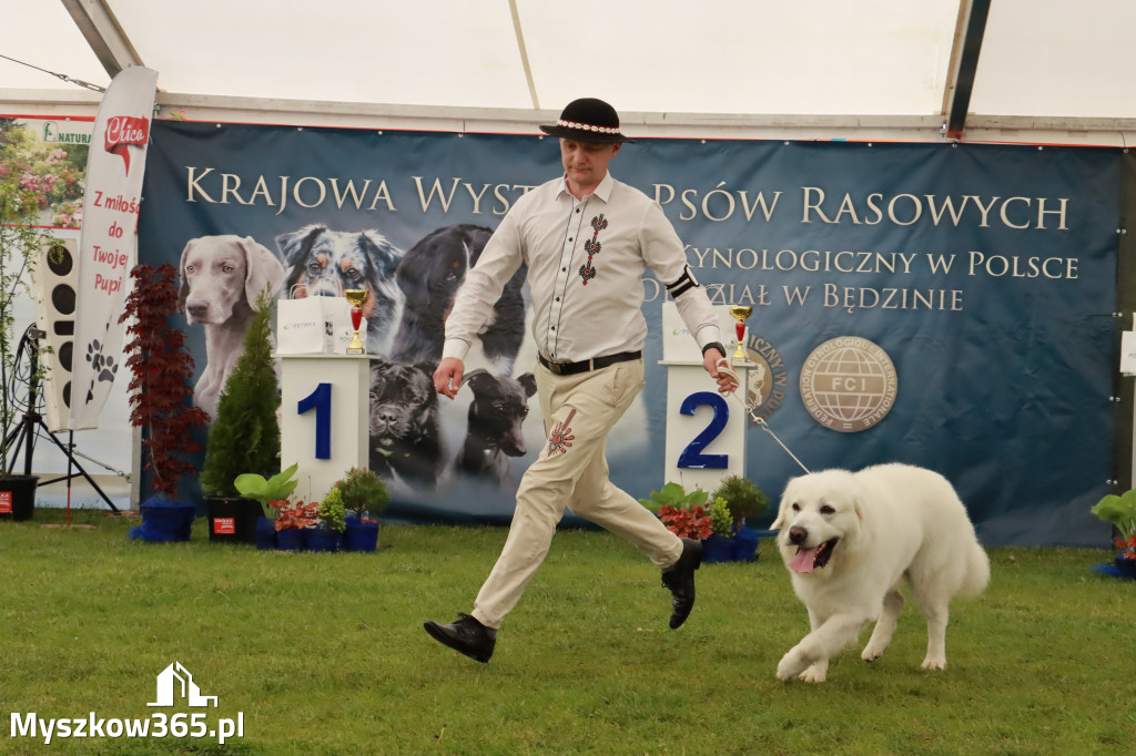 Wystawa Psów Rasowych w GNIAZDOWIE Konkurencje Finałowe