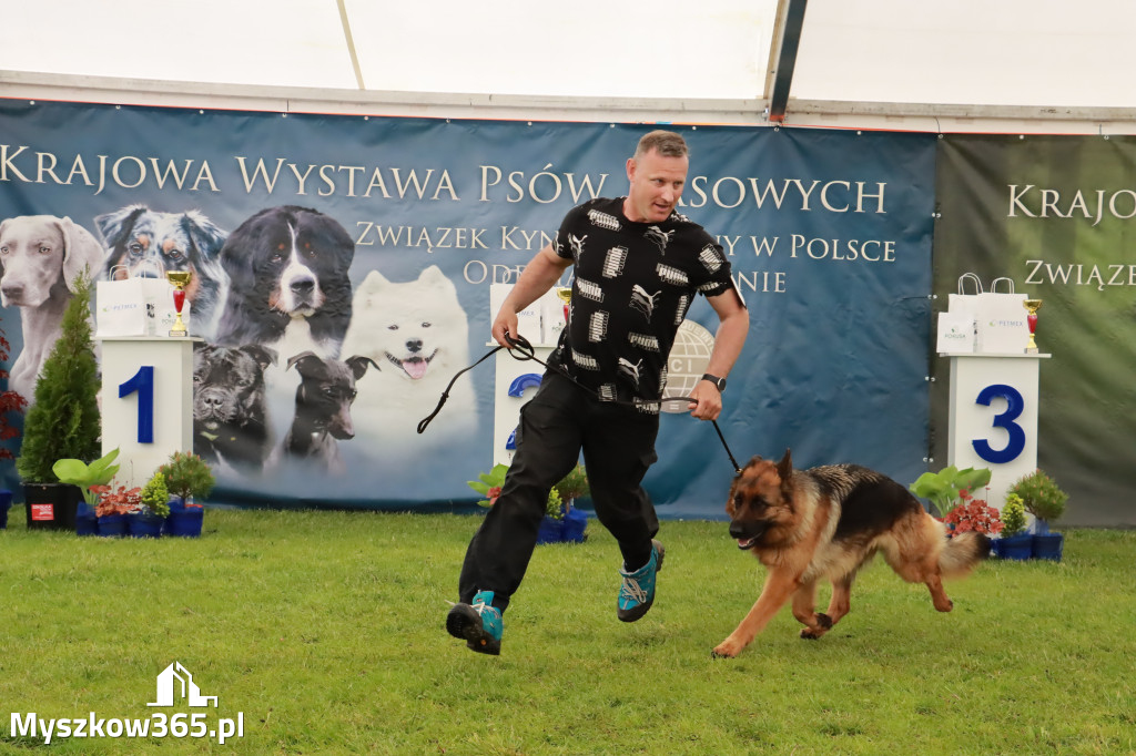 Wystawa Psów Rasowych w GNIAZDOWIE Konkurencje Finałowe