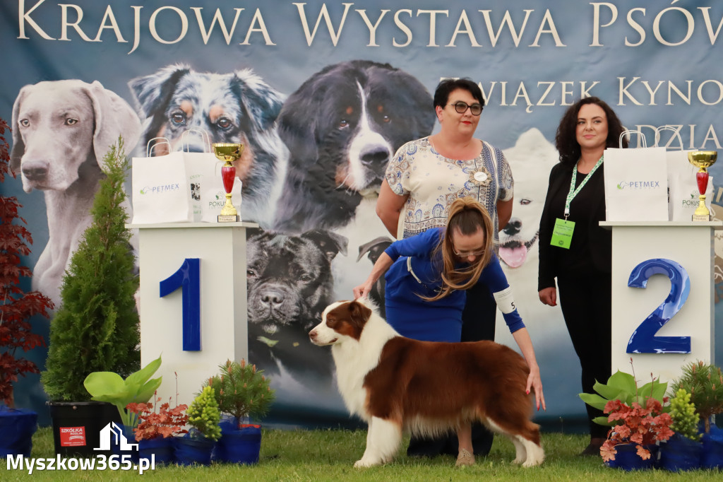 Wystawa Psów Rasowych w GNIAZDOWIE Konkurencje Finałowe