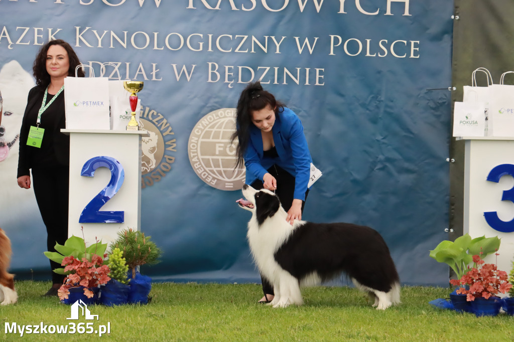 Wystawa Psów Rasowych w GNIAZDOWIE Konkurencje Finałowe