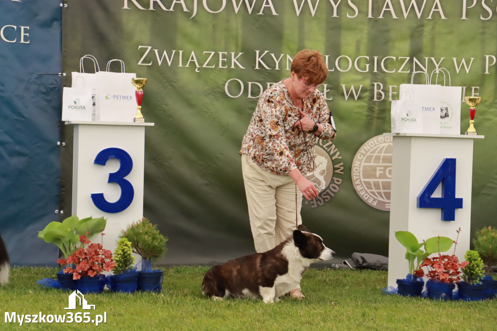 Wystawa Psów Rasowych w GNIAZDOWIE Konkurencje Finałowe