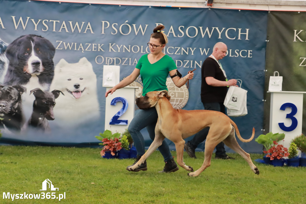 Wystawa Psów Rasowych w GNIAZDOWIE Konkurencje Finałowe