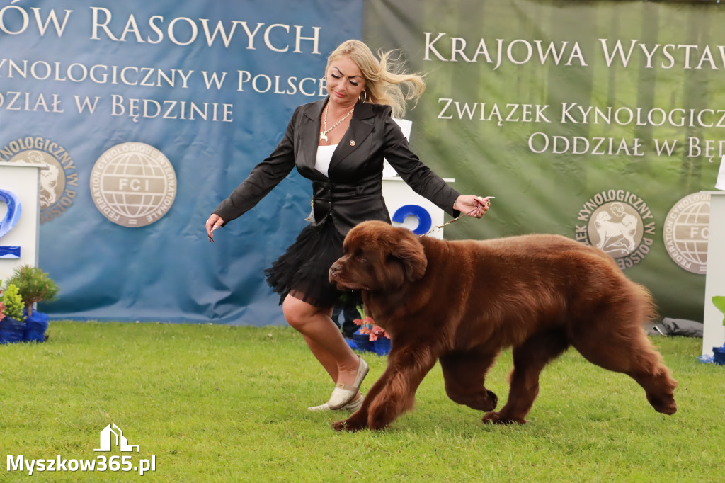 Wystawa Psów Rasowych w GNIAZDOWIE Konkurencje Finałowe