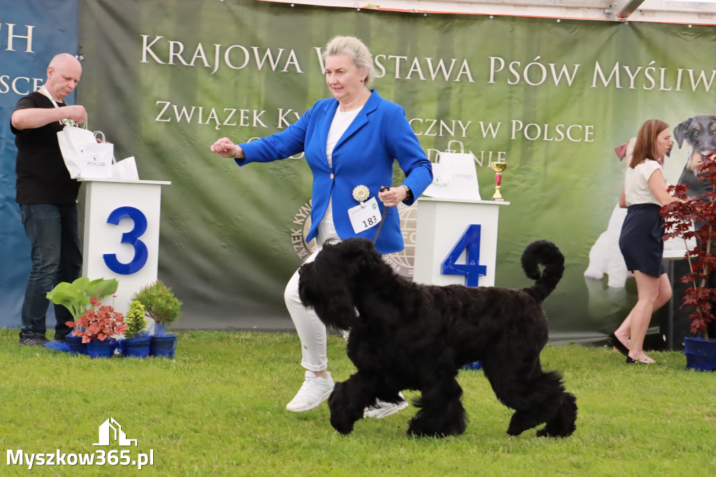 Wystawa Psów Rasowych w GNIAZDOWIE Konkurencje Finałowe