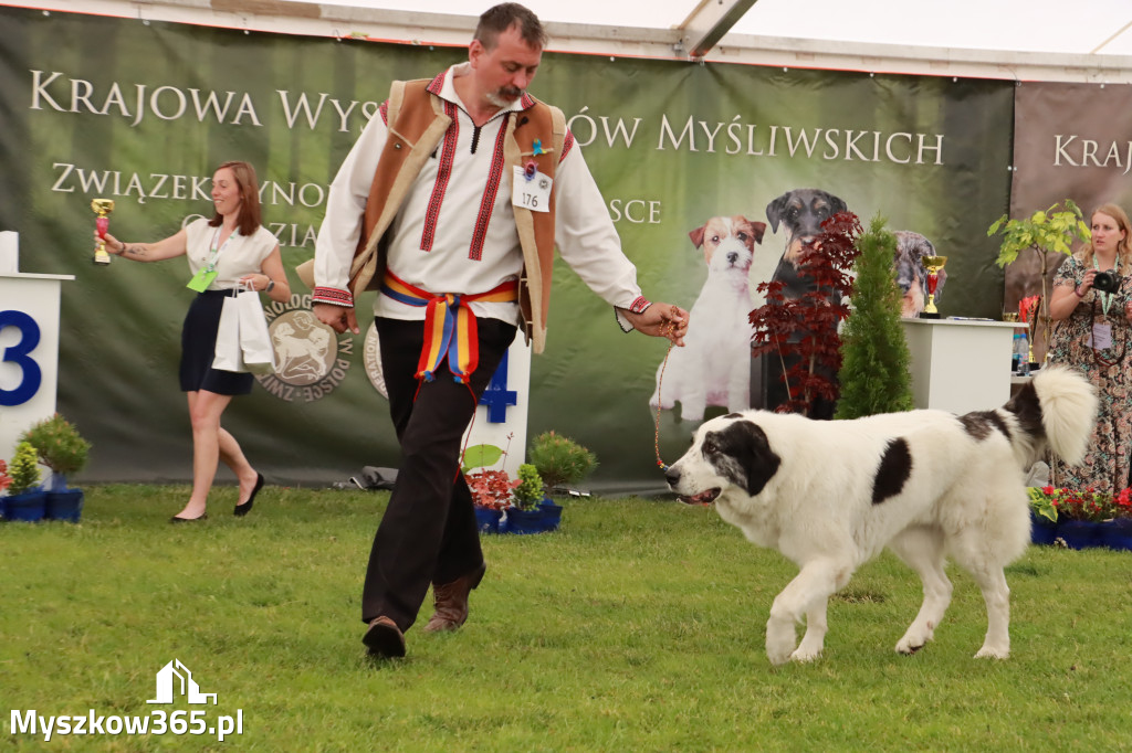 Wystawa Psów Rasowych w GNIAZDOWIE Konkurencje Finałowe