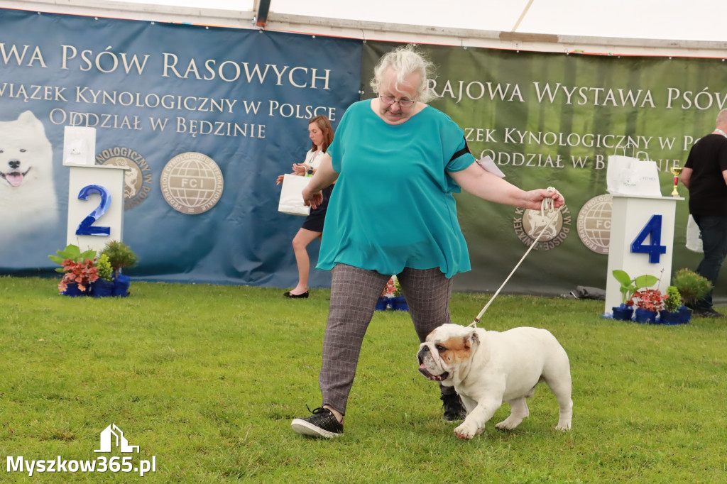 Wystawa Psów Rasowych w GNIAZDOWIE Konkurencje Finałowe