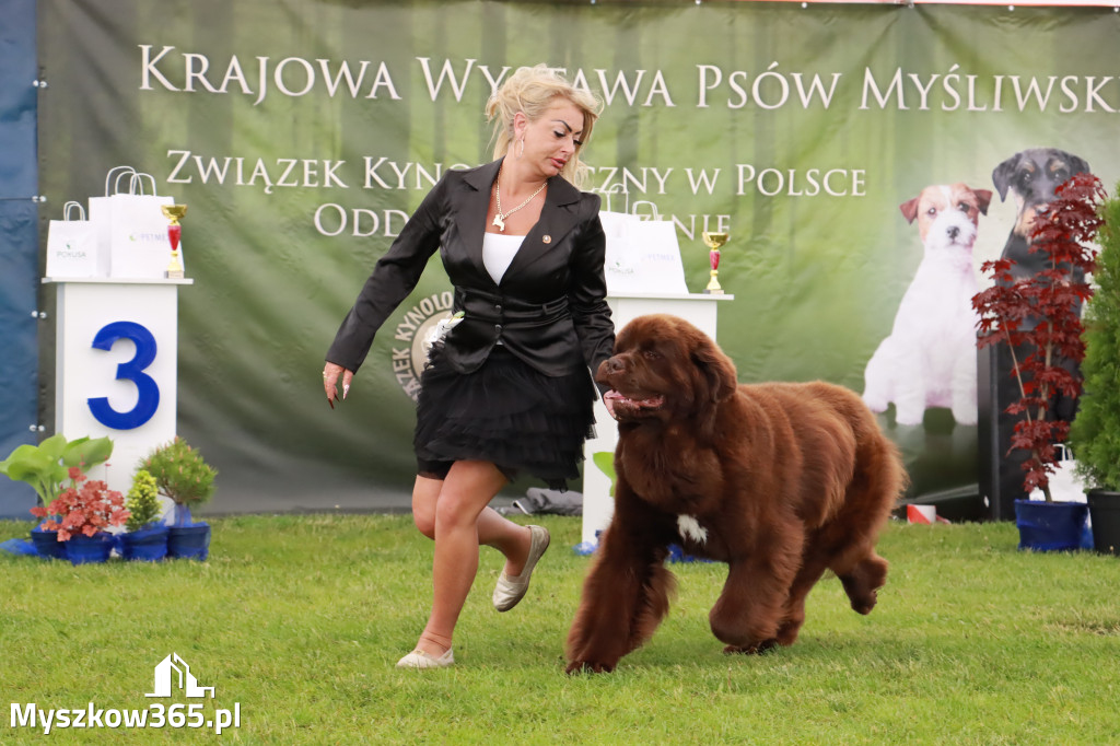 Wystawa Psów Rasowych w GNIAZDOWIE Konkurencje Finałowe