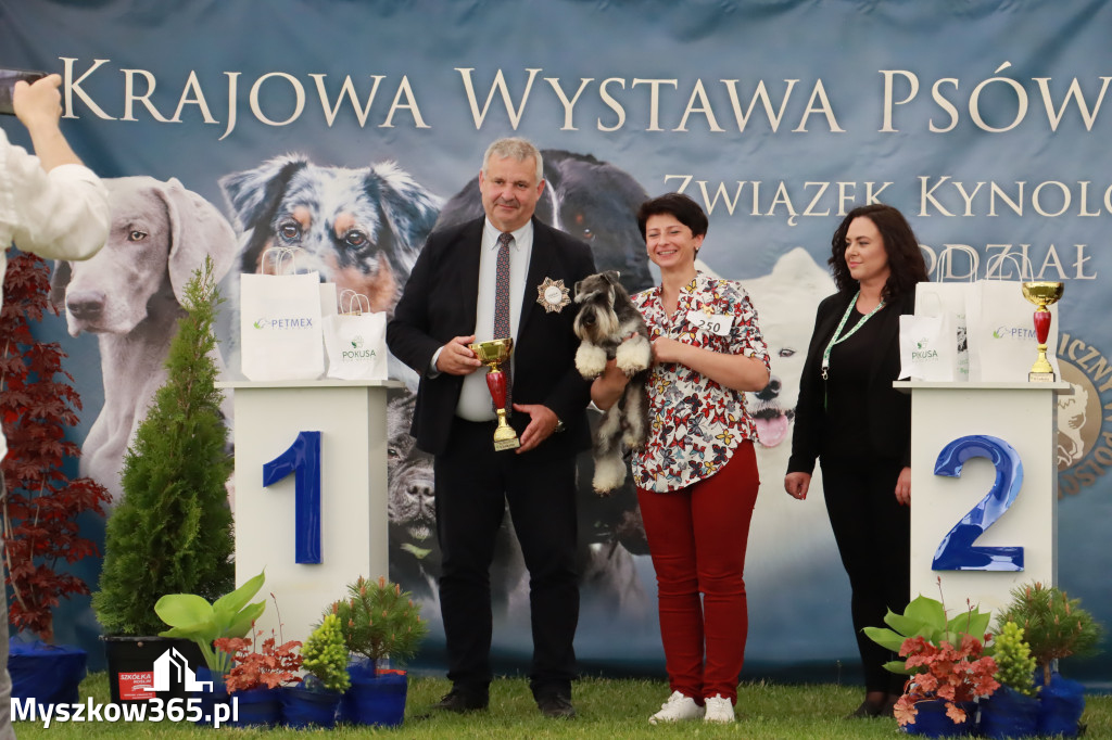 Wystawa Psów Rasowych w GNIAZDOWIE Konkurencje Finałowe