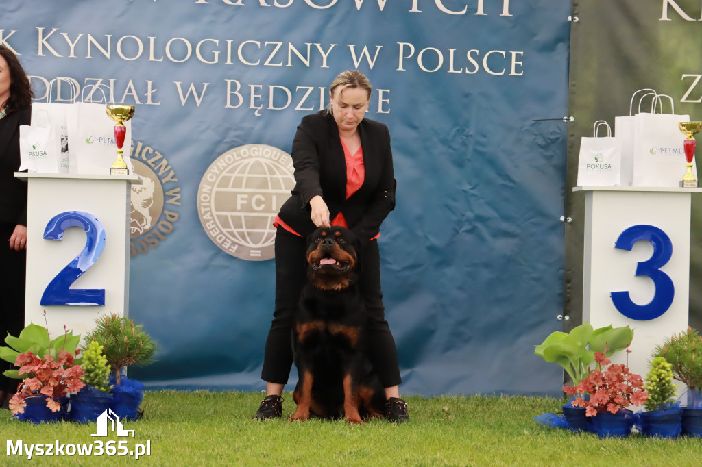 Wystawa Psów Rasowych w GNIAZDOWIE Konkurencje Finałowe